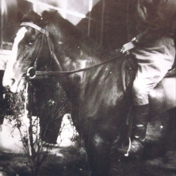 Louis Thompson riding Governor General Forbe's pony, Sport, in 1922