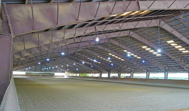 Big Arena (2)